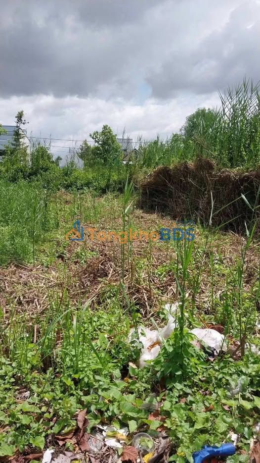 Đất Vĩnh Long 110m² Thổ Cư 100% - Gần Công Viên, Hành Chính Tỉnh