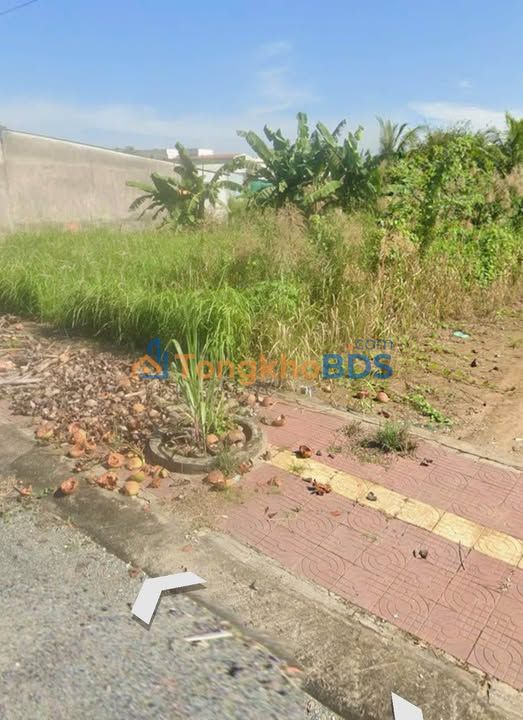 Bán Đất 100m² Thổ Cư 100% Thị Trấn Long Hồ - Sổ Hồng Sẵn Sàng