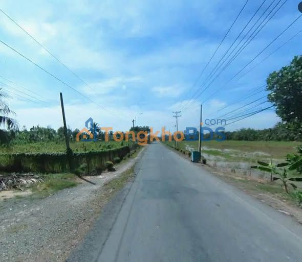 Bán Đất Vườn Vĩnh Long 6346m² Mặt Tiền DT904 - Sẵn Vườn Dừa