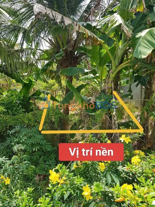 Đất Mặt Tiền ĐT909 Tam Bình 479m² - Kinh Doanh Sầm Uất, Giá Đầu Tư