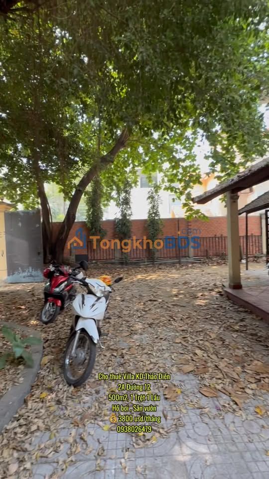 Cho thuê Villa Thảo Điền 500m² - Kinh doanh/Ở đa ngành, có hồ bơi riêng