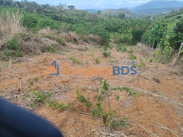 Đất nền Thôn 5 Quảng Ngãi 1.8ha 2 tỷ - Sổ đỏ chính chủ