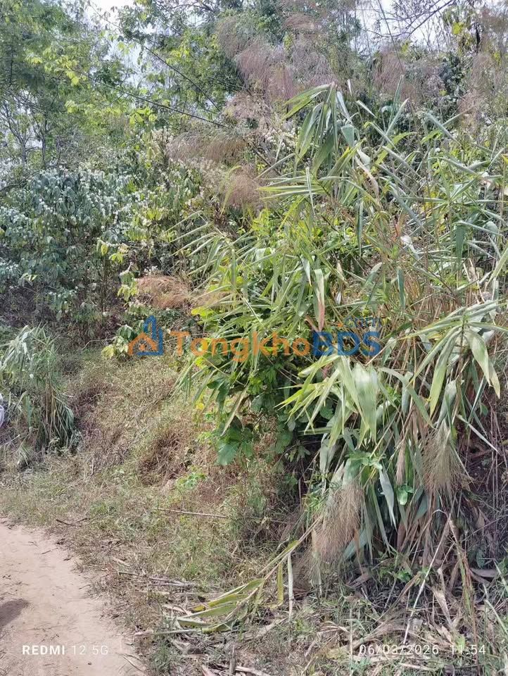 Bán đất cà phê Đam Rông 2.880m² giá 600 triệu - Đường xe lớn