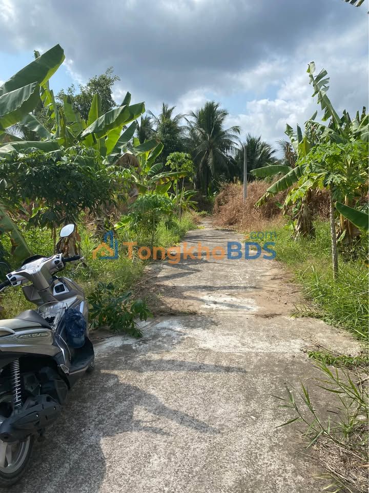 Đất Nền Giồng Trôm, Bến Tre 95m² - Giá 280 Triệu, Sổ Đỏ Rõ Ràng