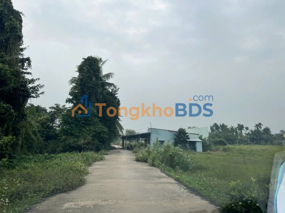 Bán Gấp Đất Thổ Cư Củ Chi 85.5m² - Sổ Hồng Riêng, Xe Hơi Tới Đất