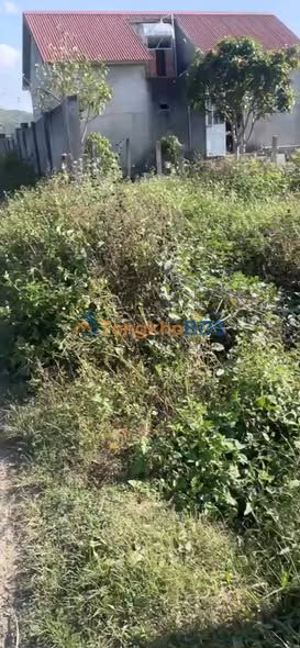 Đất nền Rô Men Đam Rông 438m² 250 triệu - Giá tốt hiếm có