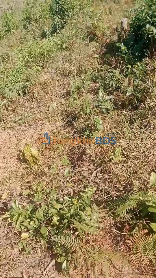 Đất nền Đạ Tông Đam Rông 1440m² 250tr - Pháp lý rõ ràng