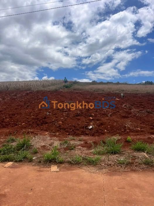 Cho thuê 3 Hecta Đất Vườn Lâm Hà - Giá Tốt 220 Triệu/Năm