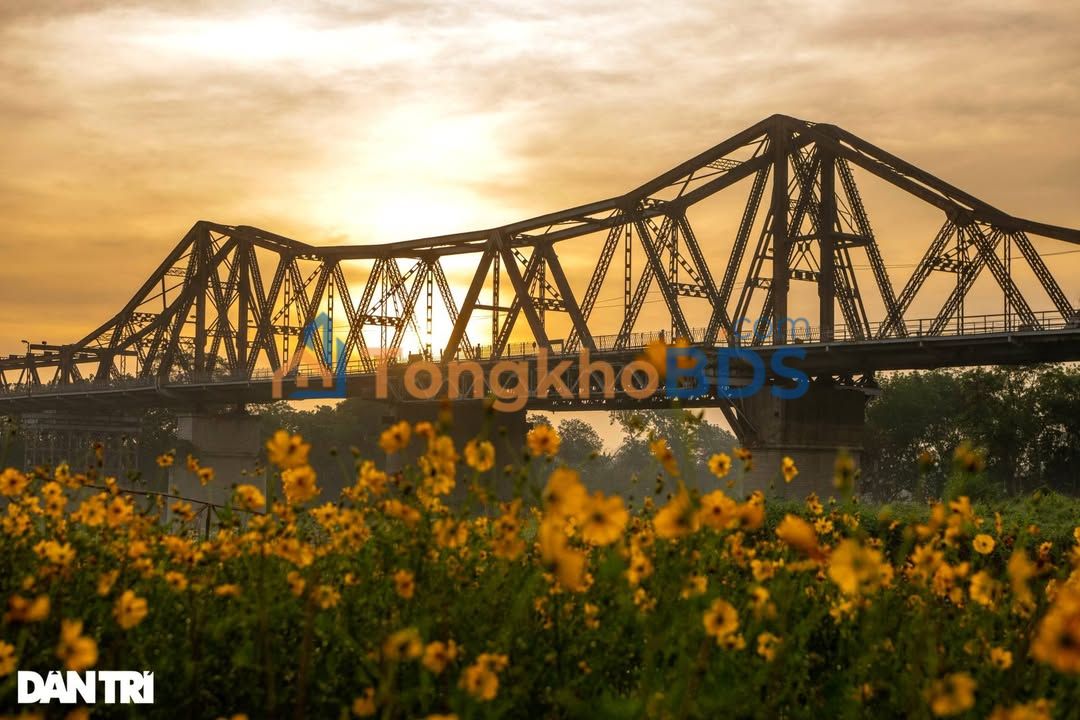 Biệt thự sân vườn Ngọc Thụy, Long Biên - 126m² Sổ hồng 22.5 tỷ