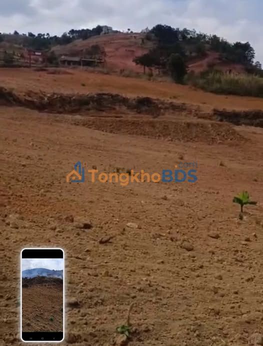 Cho thuê Đất Vườn 20.000m² Lâm Hà, Lâm Đồng - Giá Tốt 100 Triệu/Năm