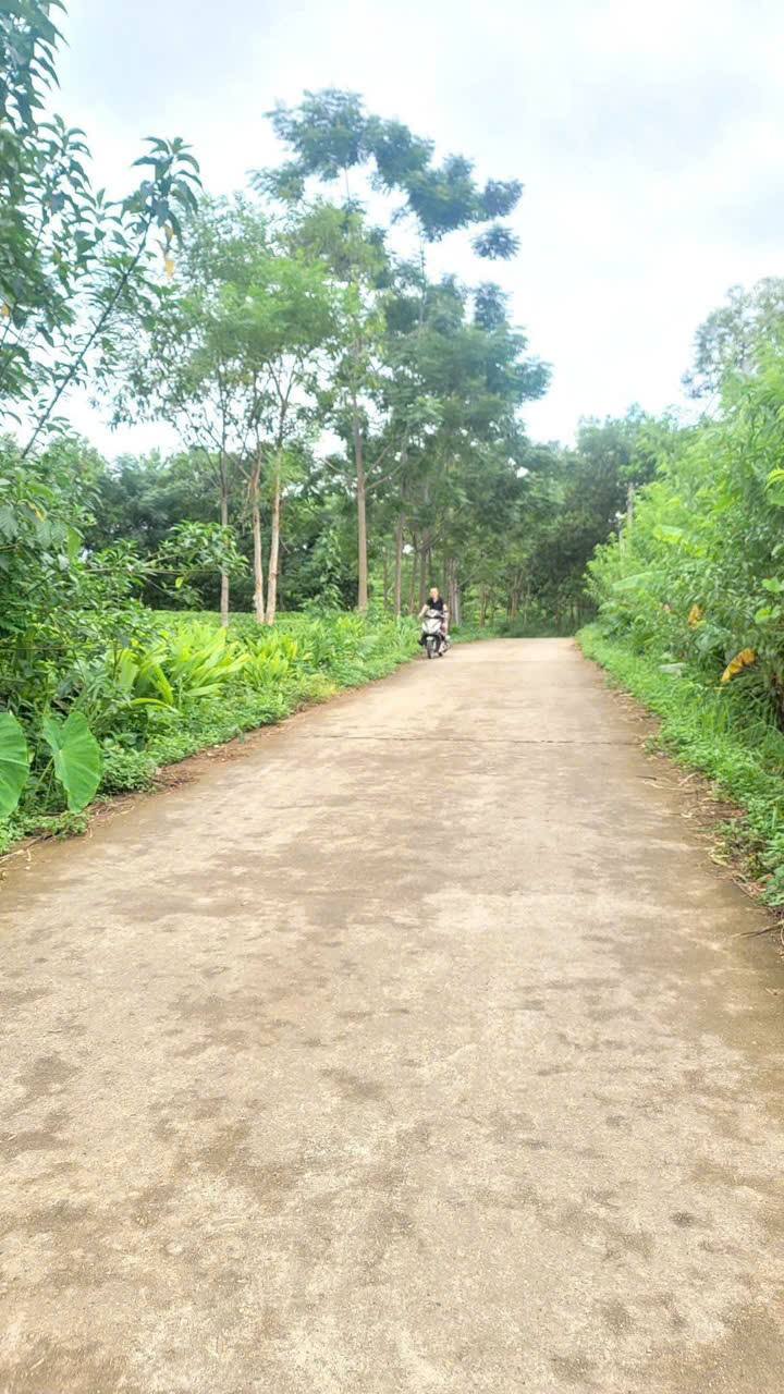 Đất nền 3600m² Tân Linh, Đại Từ - Mặt tiền 36m, Kinh doanh/Đầu tư