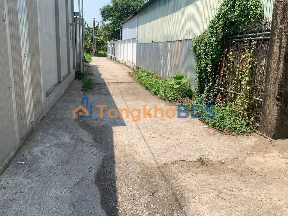 Đất Nền Nhơn Trạch 100m² - Sổ Hồng Riêng, Giá 1.5 Tỷ Tốt Nhất