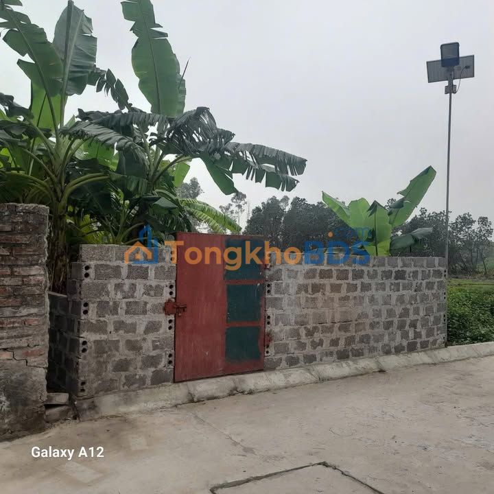 Bán Gấp Đất Nền 86m² Đồng Lý Kim Động - Hai Mặt Tiền Ô Tô, Giá 1.3 Tỷ