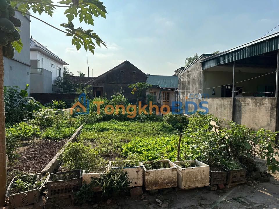 Đất nền Lương Hội, Hưng Yên 78m² Sổ đỏ chính chủ - Giá tốt