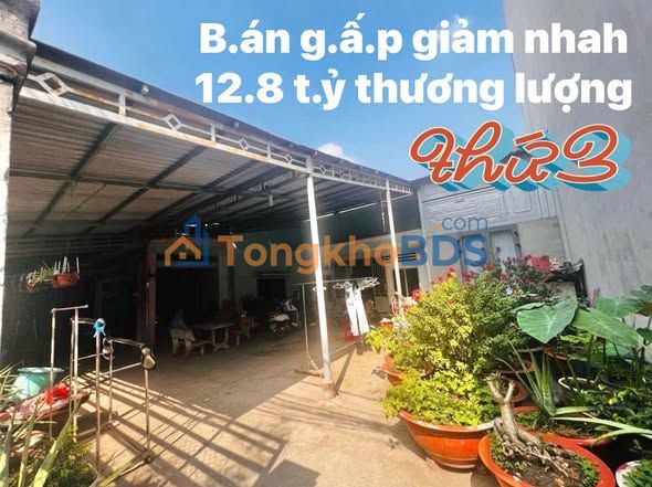 Nhà Phường Linh Đông Thủ Đức 230m² - Ngang 14.31m - 12.8 Tỷ