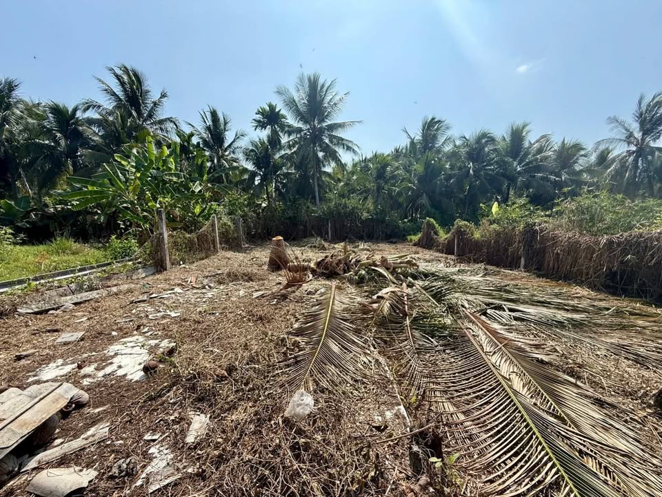 Bán Đất Nền Liền Kề Phường 7 Bến Tre - 105m² - Sổ Hồng Sẵn Sàng