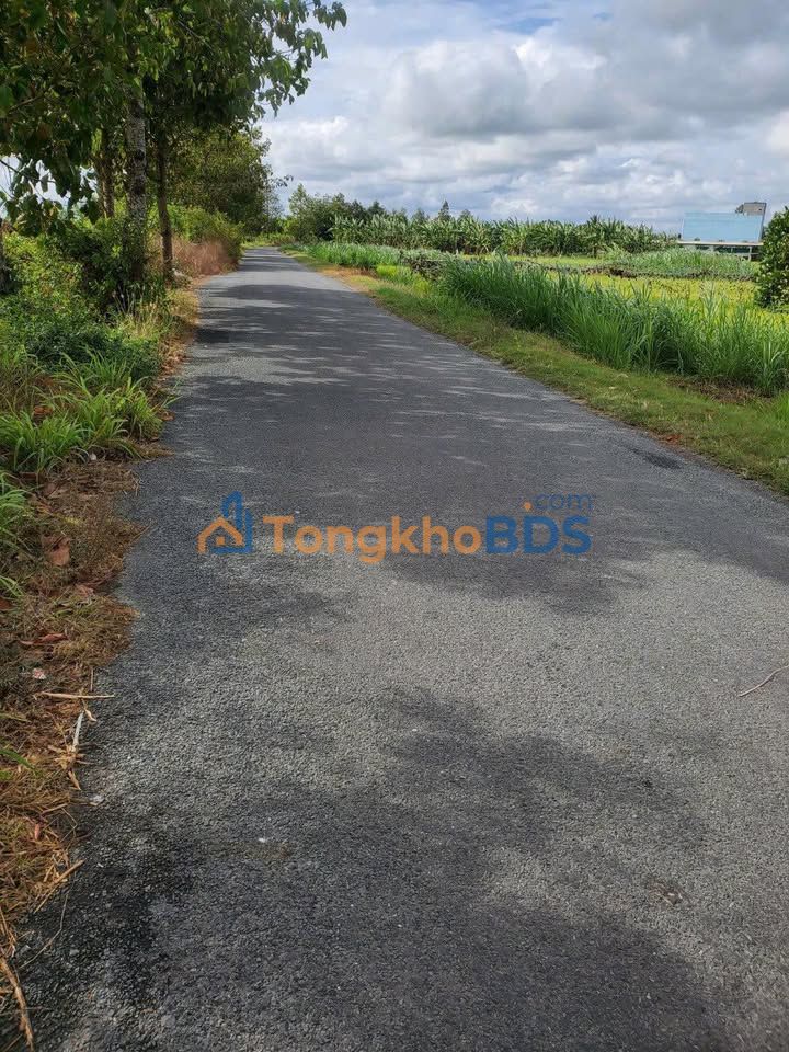 Bán Đất Vườn 3065m² Xã Mỹ Chánh, Bến Tre - Sổ Hồng Sẵn Sàng