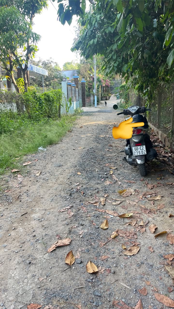 Đất Long Thành 107m² Sổ Hồng Riêng - Gần Chợ, Đường Oto