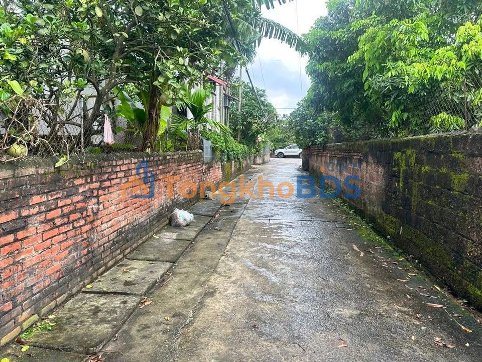 Bán đất nền Đông Tảo, Văn Giang 67.5m² - Sổ đỏ vuông vắn, ô tô vào nhà