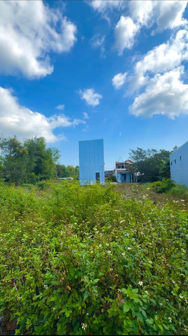 Bán Đất Ngũ Hành Sơn Đà Nẵng 116m² - Sổ Đỏ Chính Chủ, Gần Làng Đại Học