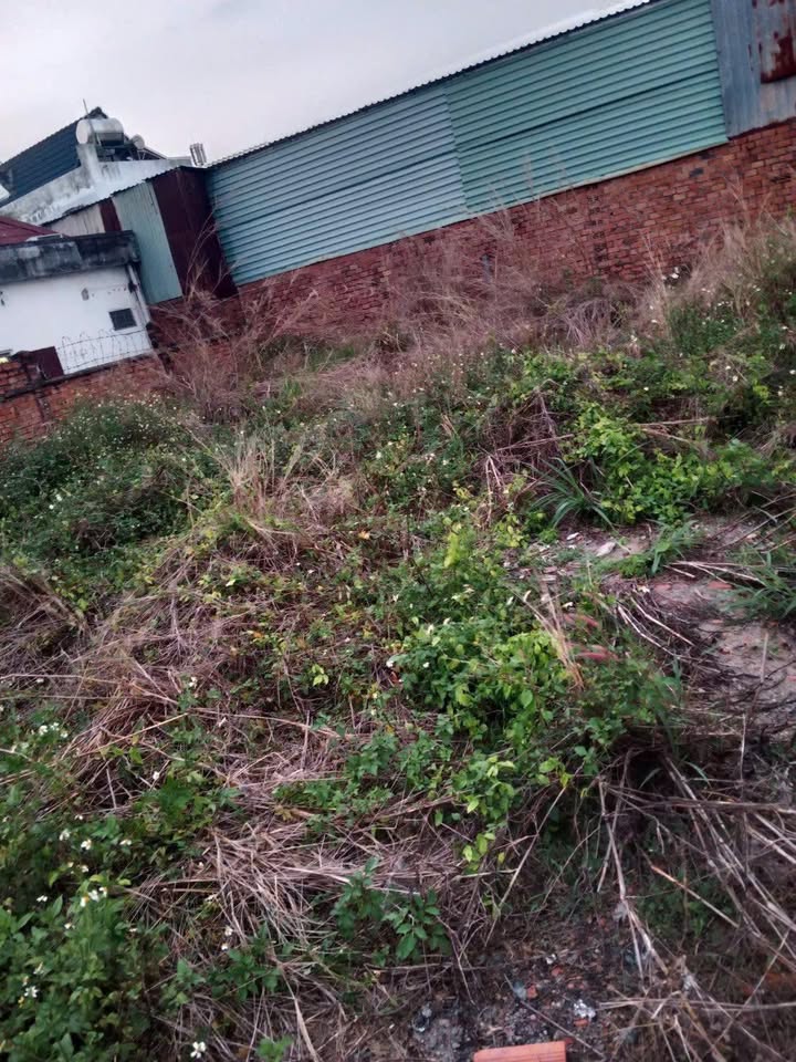 Bán đất Quận 12 - 61m² nở hậu, giá 250 triệu - Sổ đỏ vi bằng