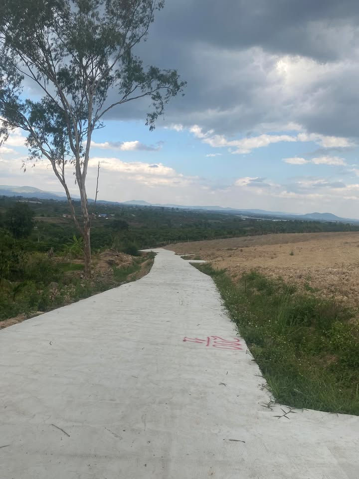 Bán Đất Nền Lâm Hà 1000m² - Giá 520 Triệu, Thế Dương Nở Hậu