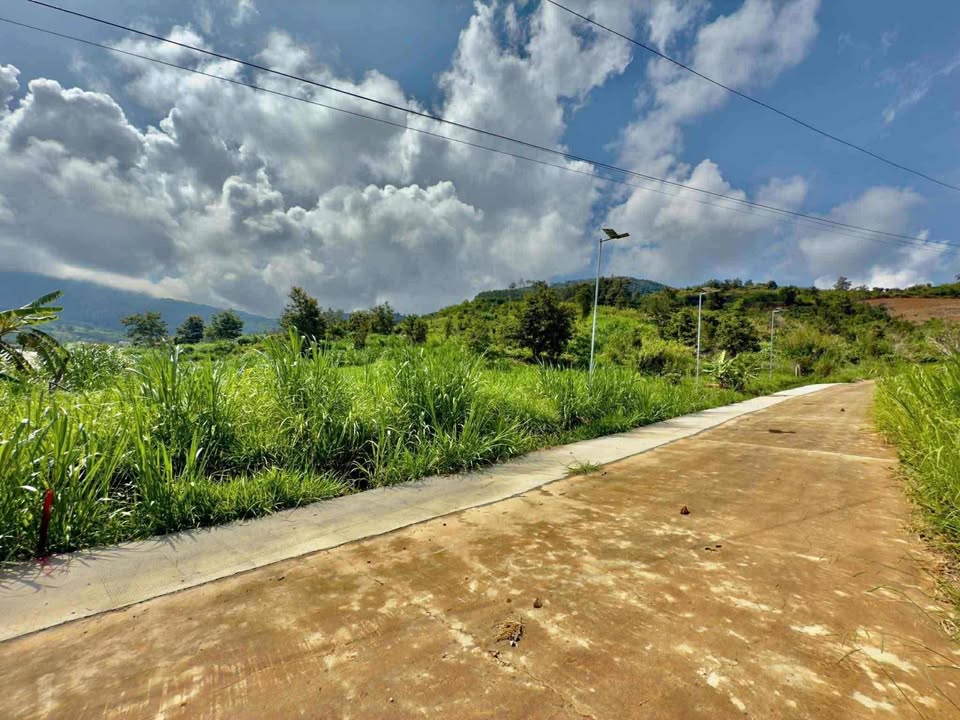 Đất Nền Lâm Hà 500m² - 800 Triệu - View Thoáng Đẹp, Tiềm Năng Sinh Lời