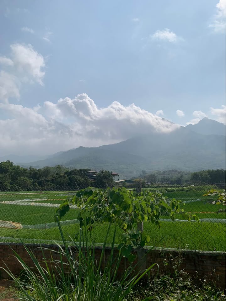 Đất nền Ba Vì 1090m² - Lô góc view núi Tản Viên, Yên Bài, Hà Nội