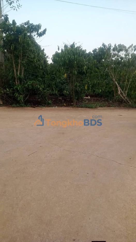 Đất Vườn 1100m² Sổ Đỏ Tại Đức Trọng - Giá 1.4 Tỷ, Sẵn 75m² Thổ Cư