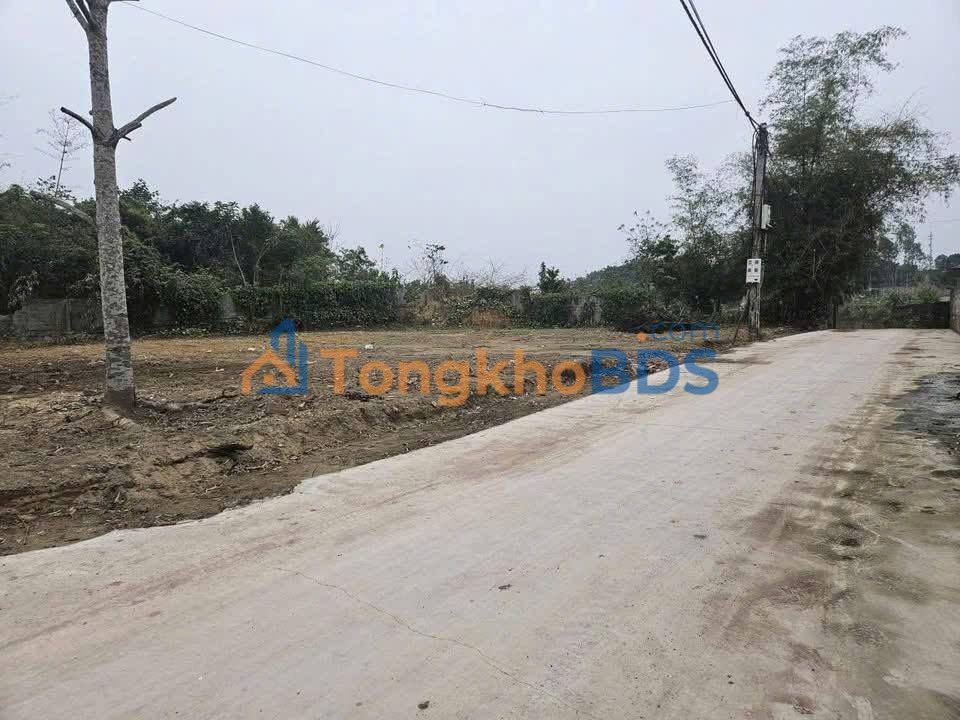 Bán Đất Xây Biệt Thự Xóm Cây Xanh, Thái Nguyên - 525m² Giá 2.4 Tỷ