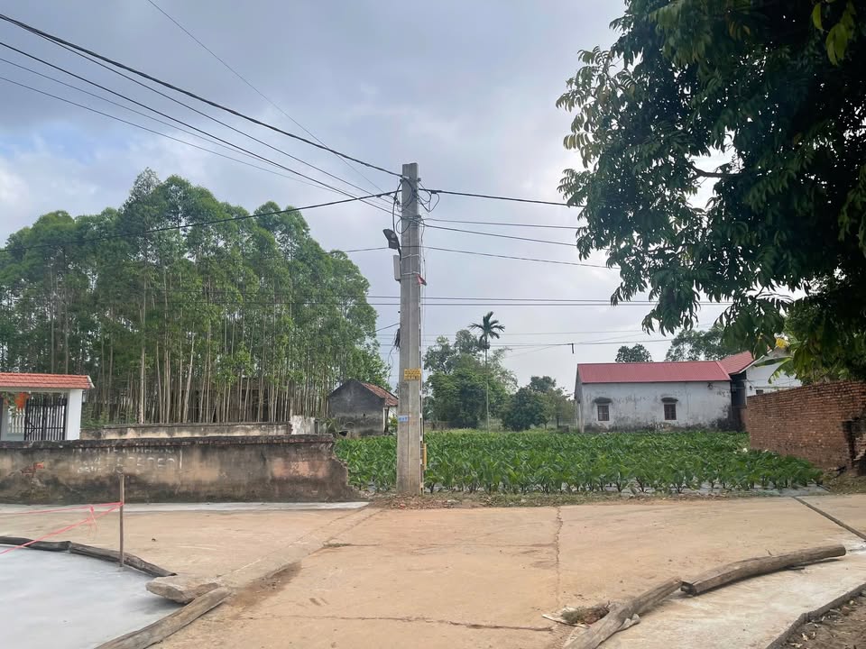 Đất Vườn Lục Nam, Bắc Giang - 600m² Làm Nghỉ Dưỡng Riêng