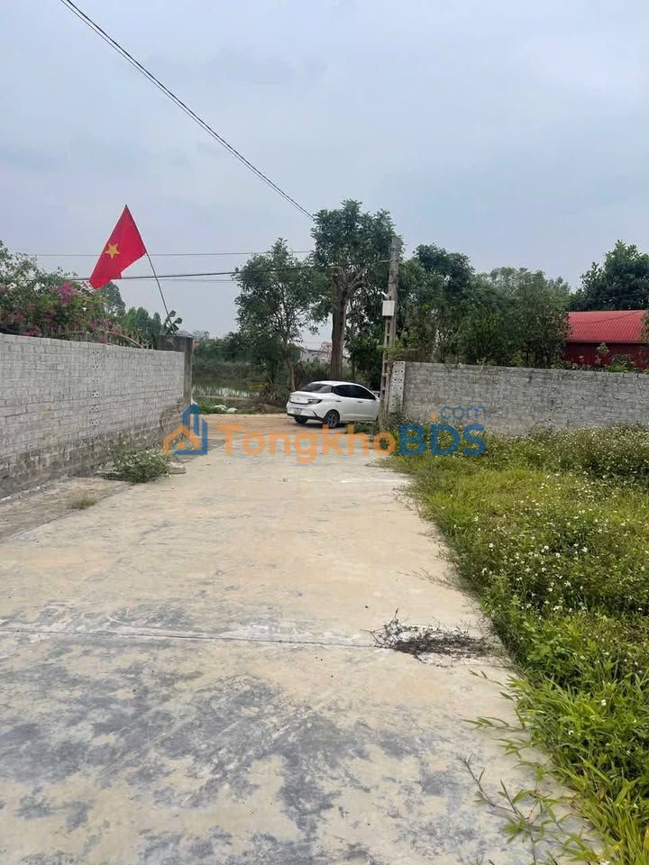 Đất Thổ Cư 500m² Trung Tâm Lục Nam - Giá Tốt Dưới 1 Tỷ