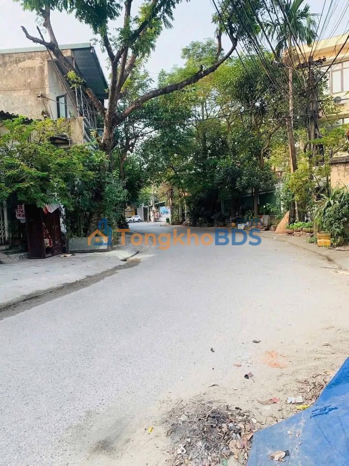 Đất Lục Nam 113m² - Sổ Thổ Cư - Giá Chỉ 9xx Triệu