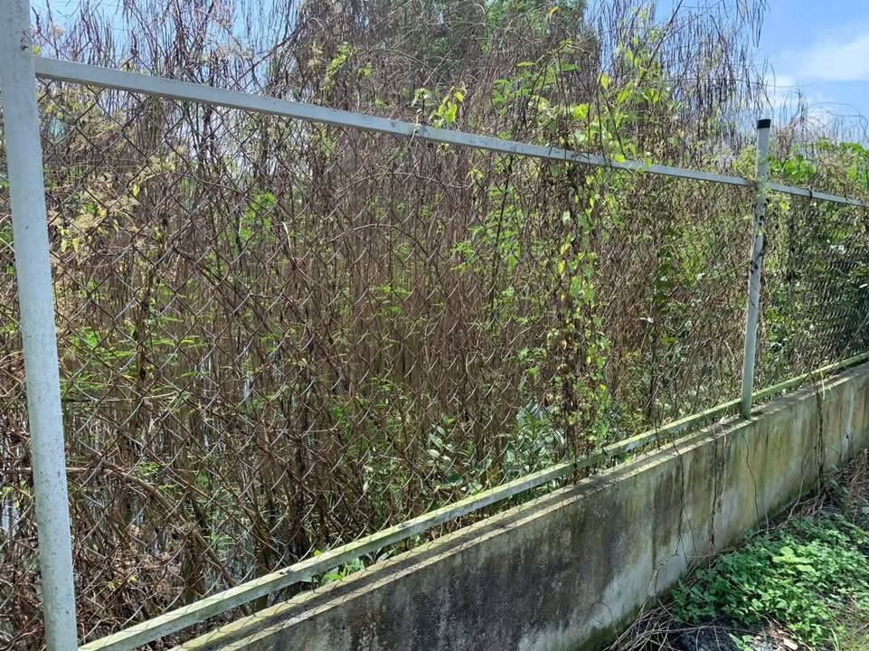 Đất Vườn 3800m² Hưng Long, Bình Chánh - Sổ Hồng Zin, Giá Đầu Tư 9.5 Tỷ