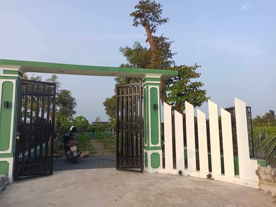 Bán đất thổ cư 138m² Gò Công Đông, Tiền Giang - Sổ sẵn, gần biển Tân Thành