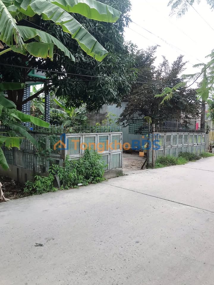 Đất Vườn Lộc Phát 210m² Lý Văn Lâm, P.8, TP. Cà Mau - Giá Tốt Chốt Nhanh