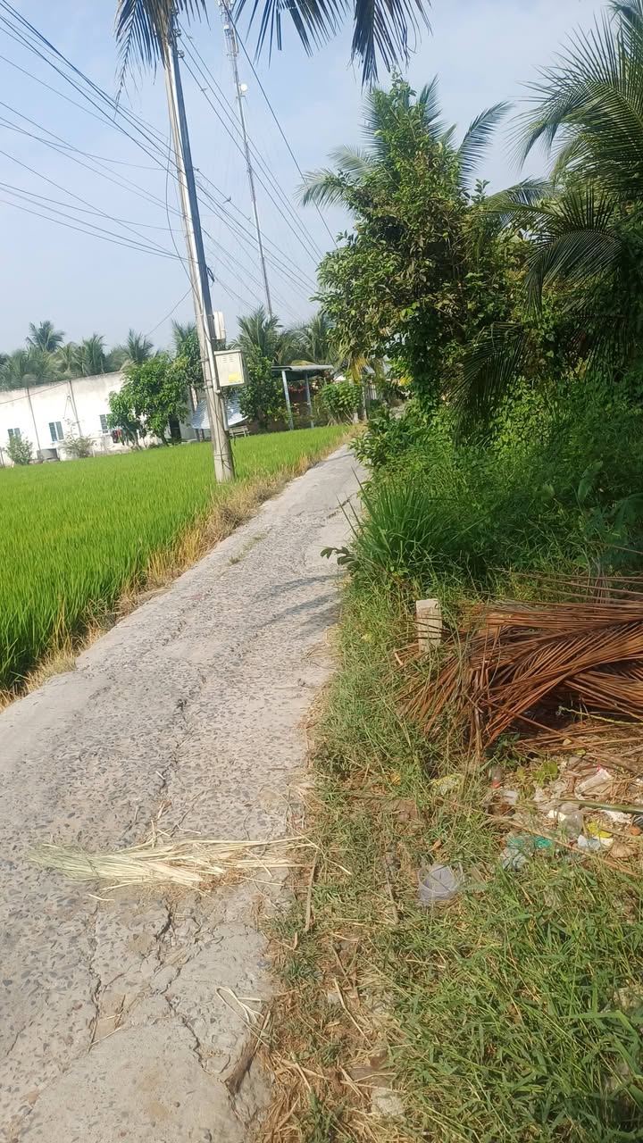 Bán Gấp Nhà Cấp 4 370m² Đường Mở Rộng, Châu Thành, Tiền Giang - Giá 8xx Triệu