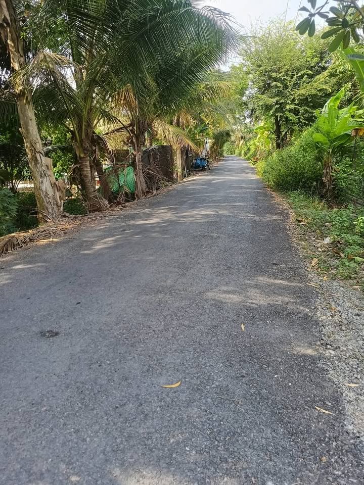 Nhà Mặt Tiền Mộ Bia, Châu Thành Tiền Giang - 752m² Sổ Hồng Riêng, Giá 3.5 Tỷ