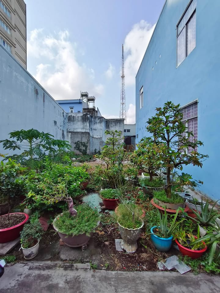 Bán Gấp Đất Thổ Cư Mỹ Tho 91m² - Sổ Hồng Sẵn Sàng