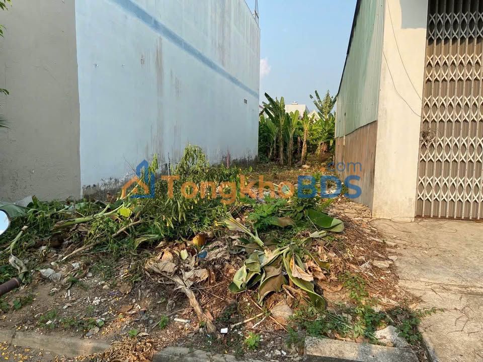 Đất Mặt Tiền Đường Nhựa Mỹ Tho - 97.5m² Thổ Cư 100% - Chỉ 1.75 Tỷ