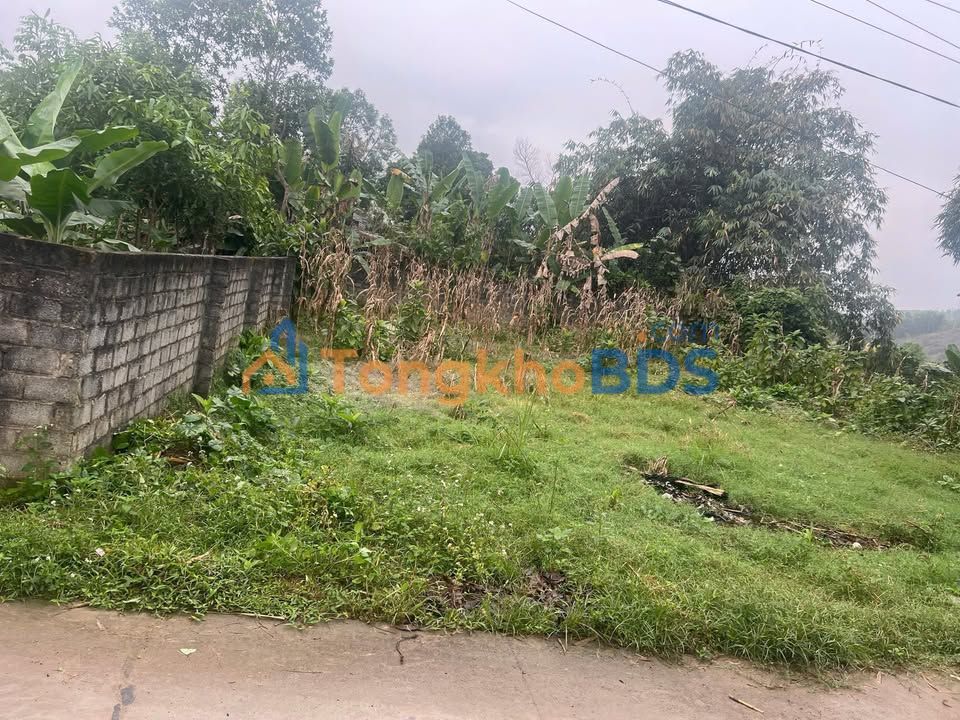 Đất Vườn/Phân Lô 345m² Mặt Tiền 16m Tại Yên Lập, Phú Thọ - Sổ Đỏ Sẵn Sàng