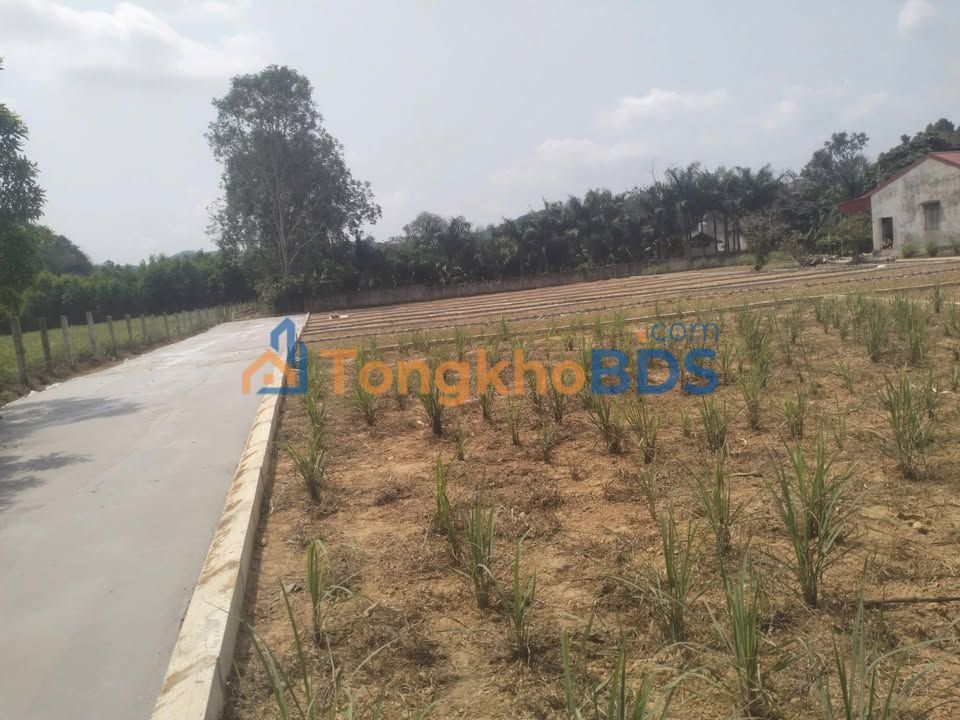 Đất nền Thành Minh, Thạch Thành: 82m² - Gần QL217, Sổ đỏ sẵn sàng