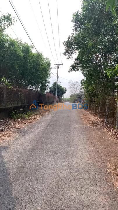 Đất nền Sân Bay Long Thành 251m² - Sổ đỏ, đường xe tải, giá 3 tỷ