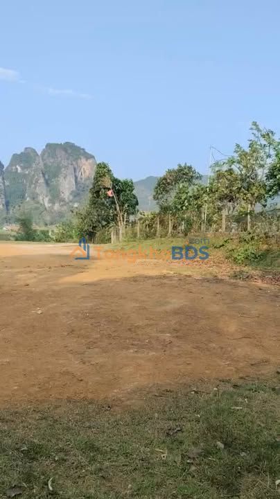 Bán gấp đất nền 1509m² Huyện Sông Lô, Vĩnh Phúc - Lô góc 2 mặt tiền