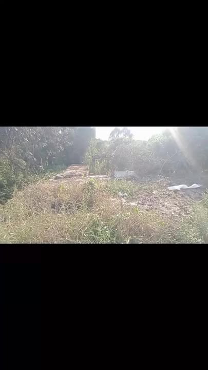 Đất Nền Đồng Tháp 421m² - Mặt Tiền Tỉnh Lộ 843, Giá 1.2 Tỷ