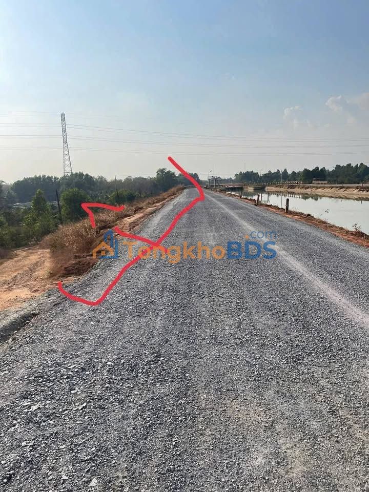 Bán Gấp Vườn Sầu Riêng 2000m² Đồng Tháp - Giá Tốt 700 Triệu