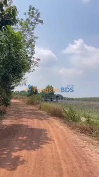 Bán 53.000m² Đất Vườn, Mặt Tiền 786m, Tân Châu - Giá 12 Tỷ