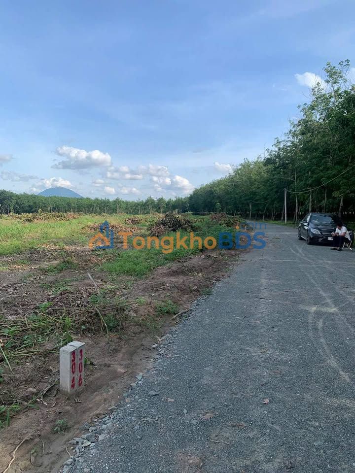 Đất Nền 1020m² Tân Phú, Tây Ninh - Giá 450 Triệu, Sổ Đỏ Sẵn Sàng