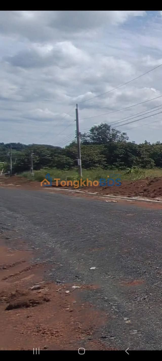 Đất Sóc Nê Tân Tiến, Tây Ninh - 3240m² Hai Mặt Tiền Đường Nhựa, Giá Ngộp 230 Triệu