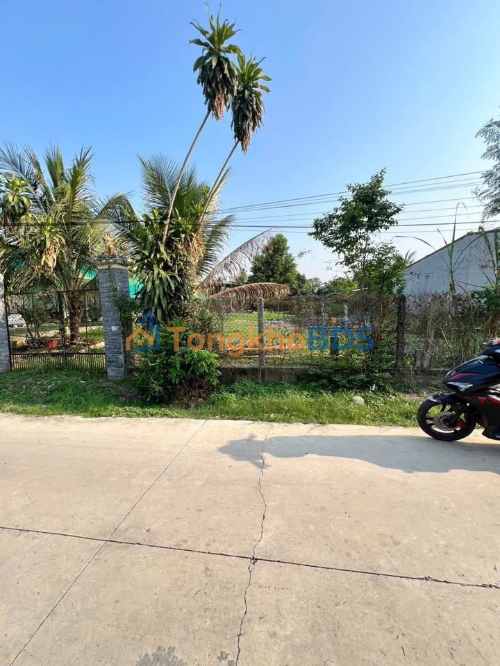 Đất Nền Vàng Khu Bàn Cờ Thanh Hùng, Tây Ninh - 192m² Sẵn Sổ